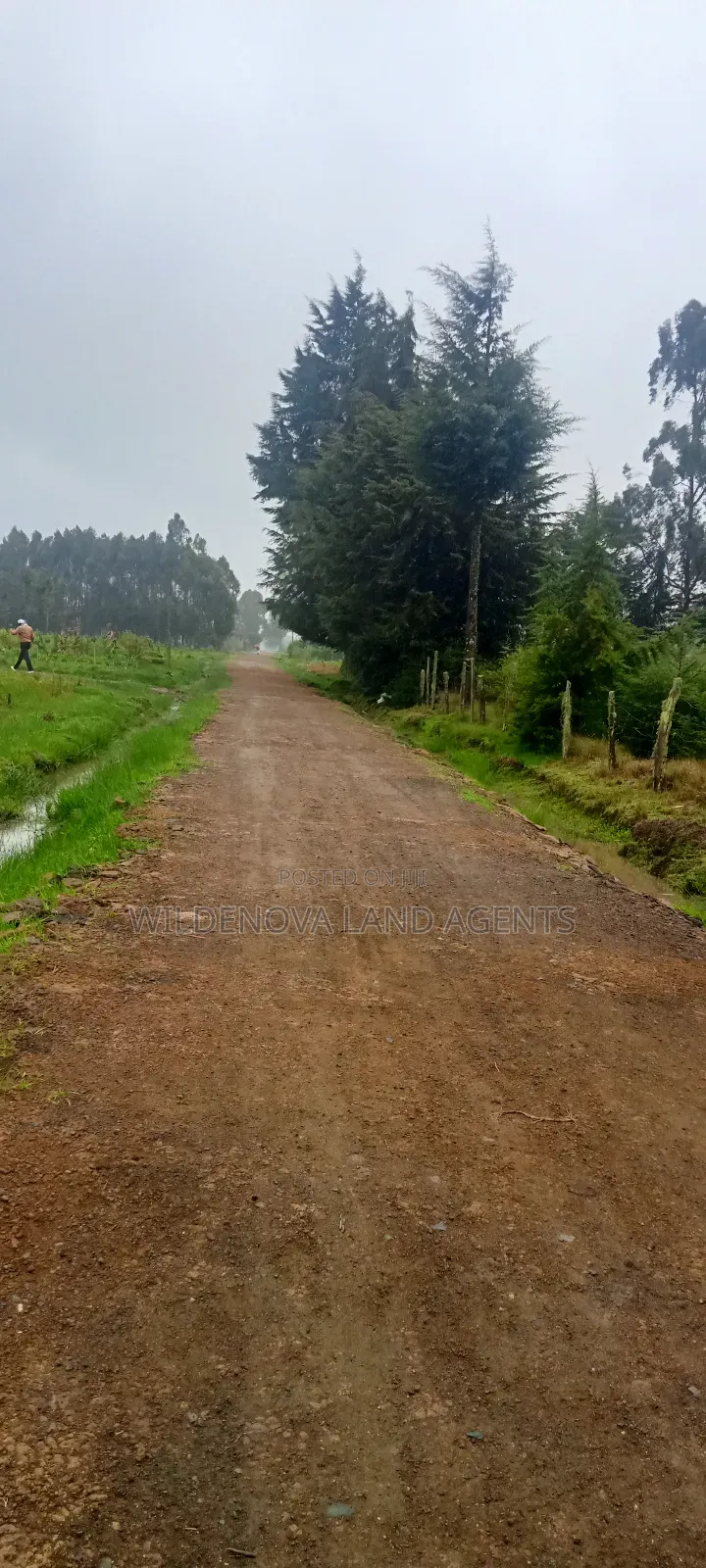 Land on Sale at Magumu Kinangop