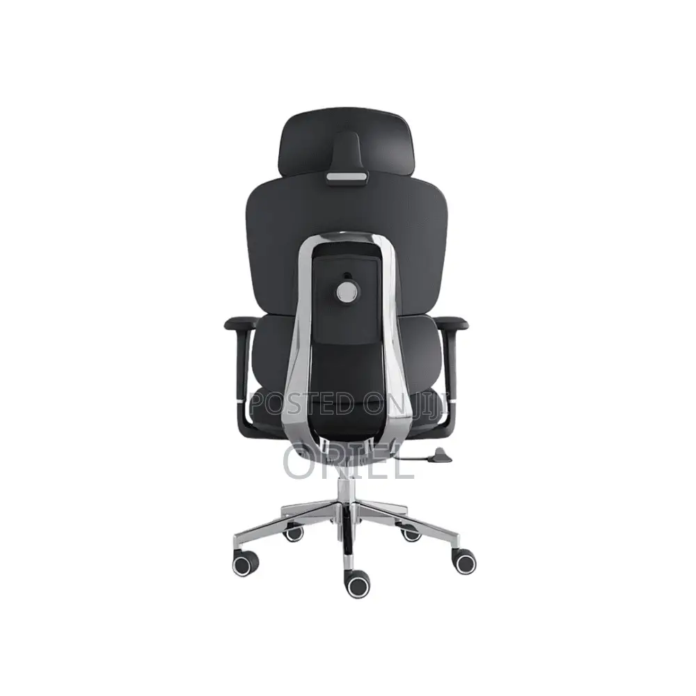 Office Chair : Executive Office Ergonomic High-Back Chair