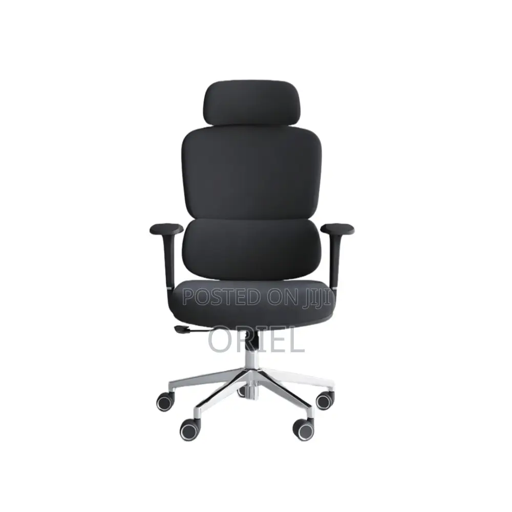 Office Chair : Executive Office Ergonomic High-Back Chair