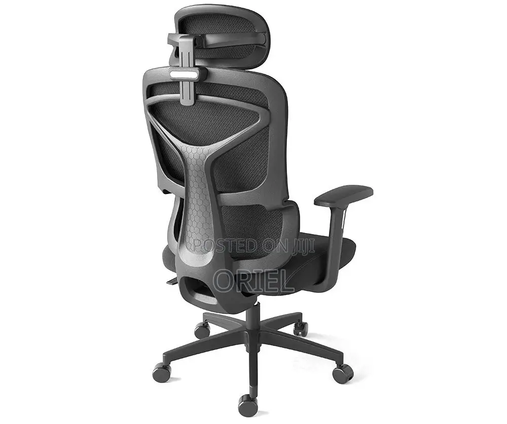 Office Chair : Executive Office Ergonomic High-Back Chair