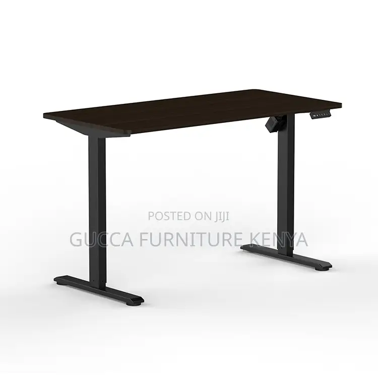 120cm Height Adjustable Electric Pc Gaming Table