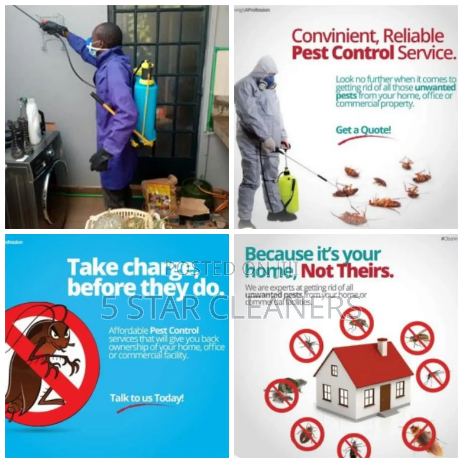 Cockroaches' Elimination and Household Pests Fumigation