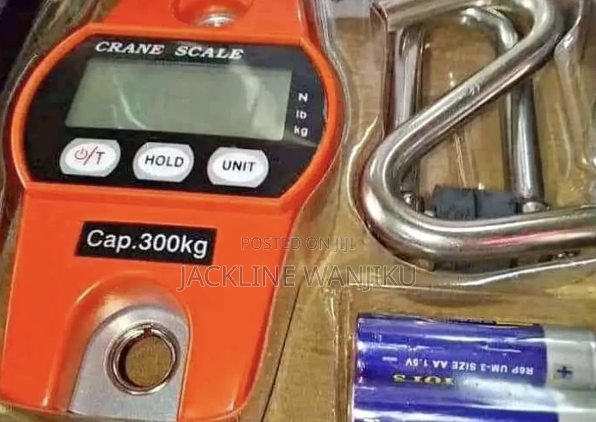Quality Affordable Crane Scale 300kg/Crane Scale 300kg