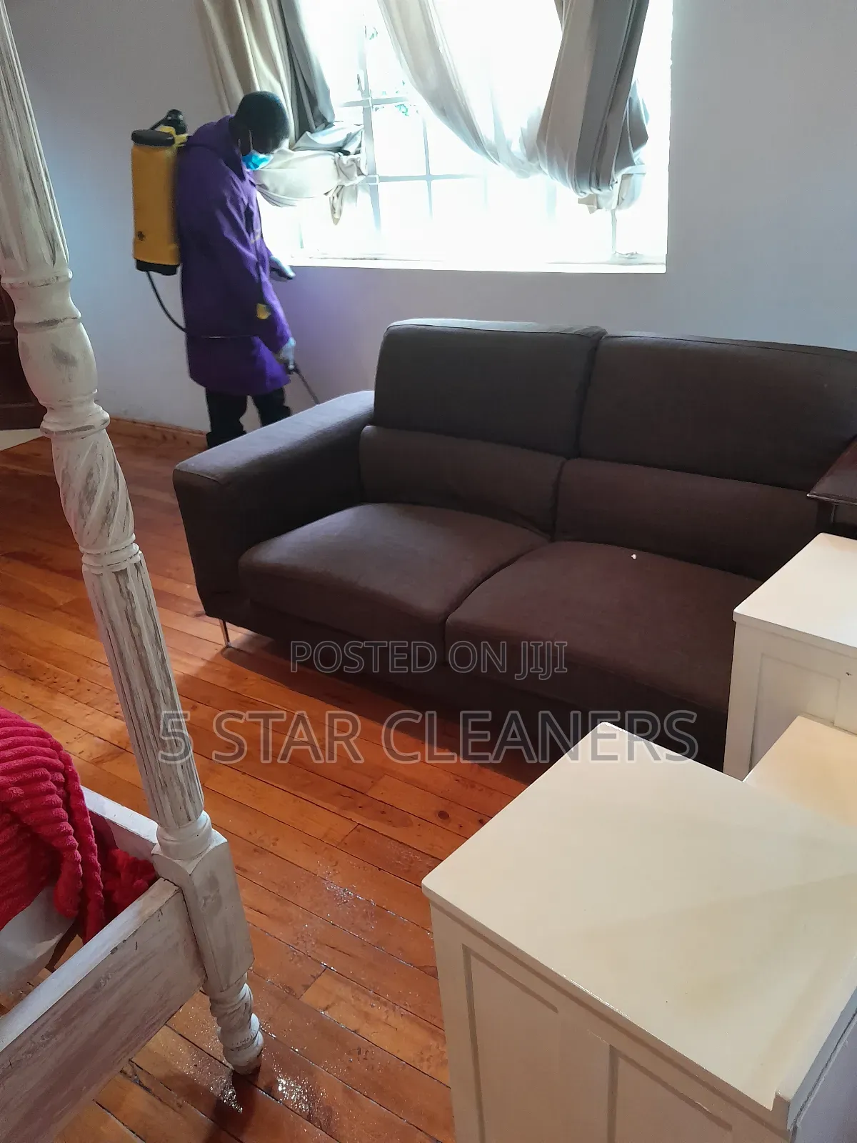 Grade One Household Pests and Fumigation Services