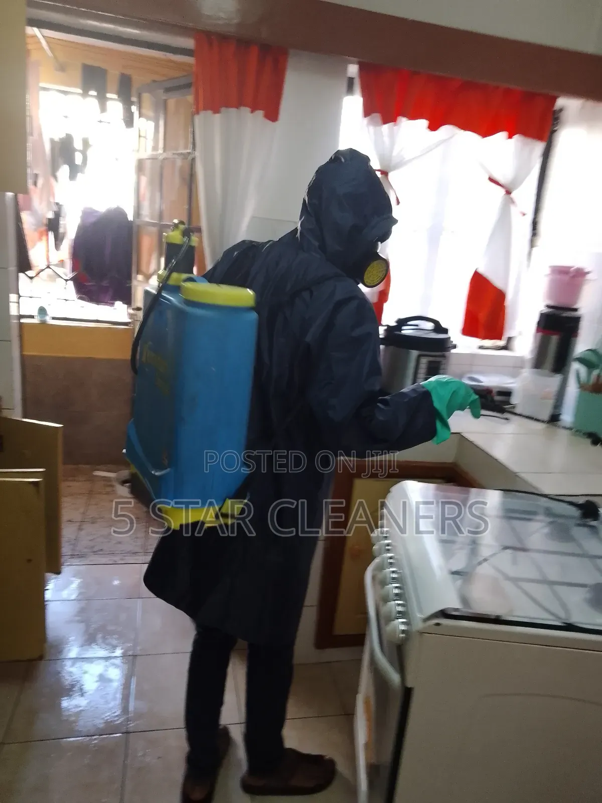 Bedbugs, Cockroaches, Rodents and Mosquitoes Fumigation Services