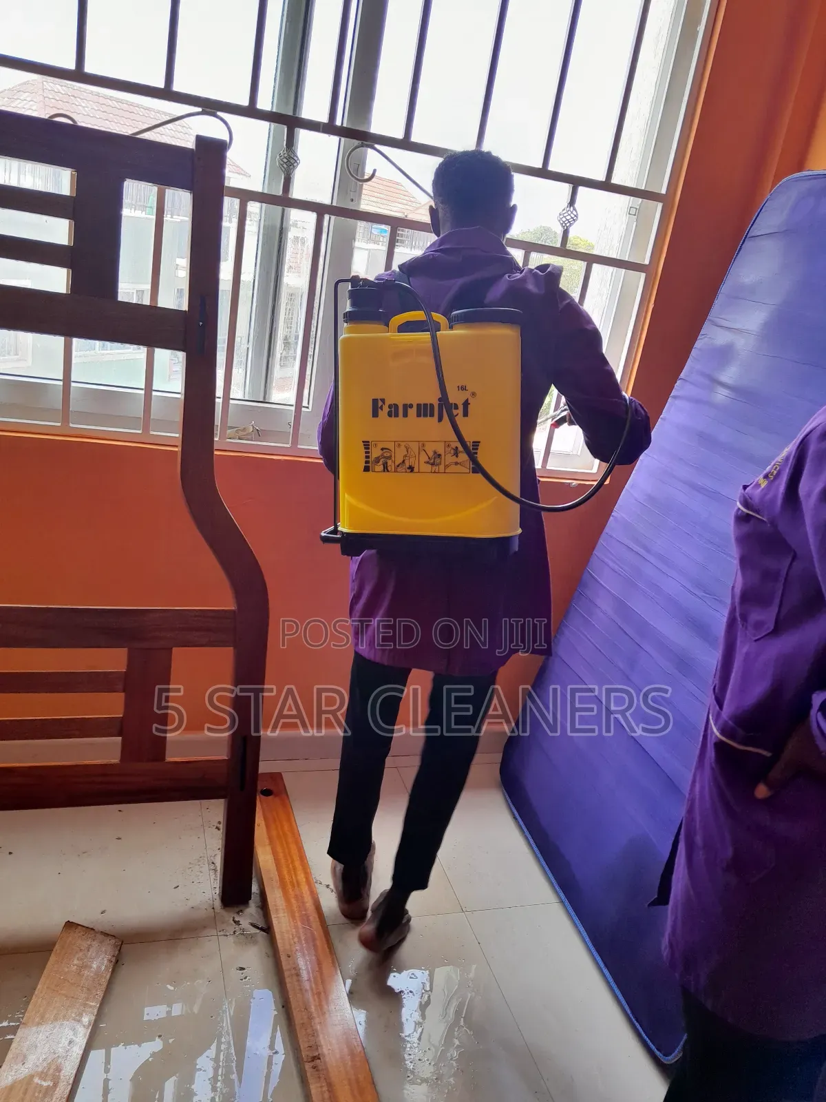 Fumigation Against Pests Such as Bedbugs, Cockroaches, and Rodents