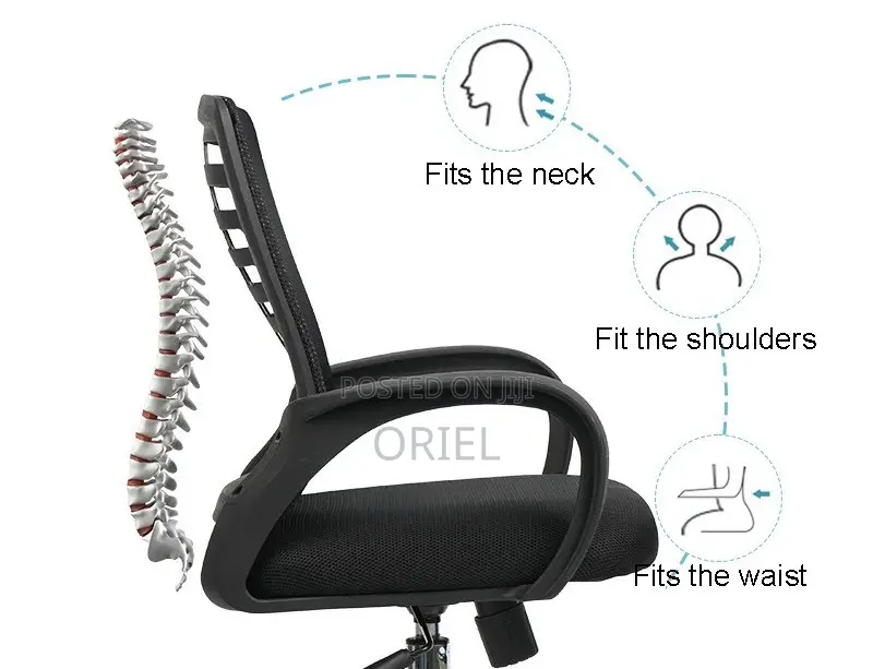 Office Chair : Medium Back Ergonomic Seat