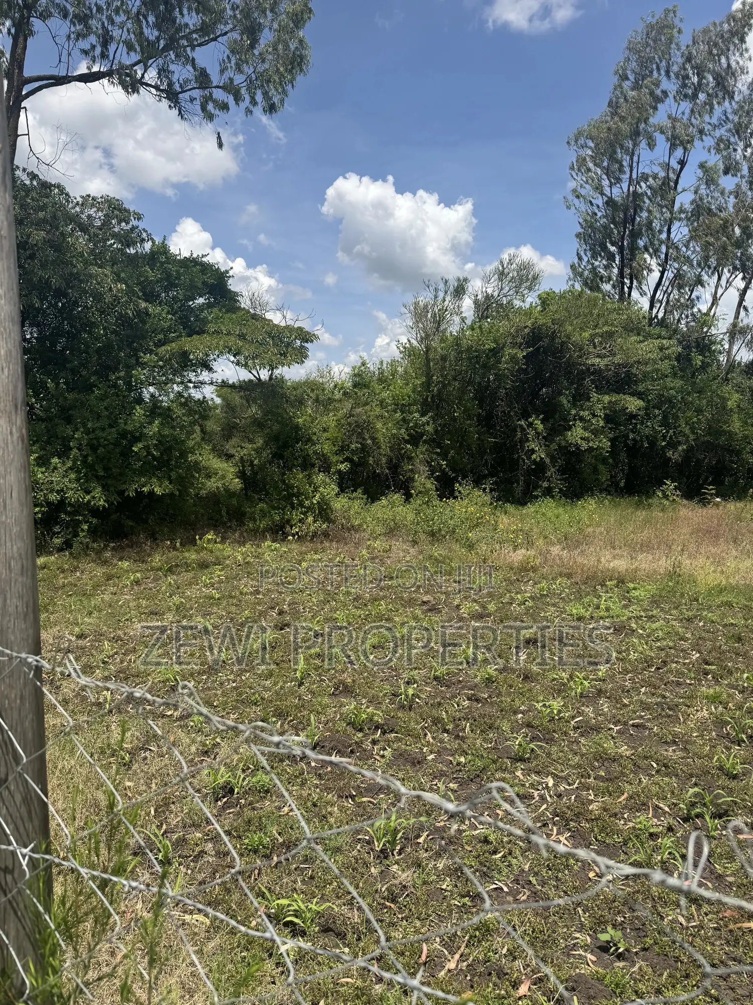 Quarter Acre Olkeri