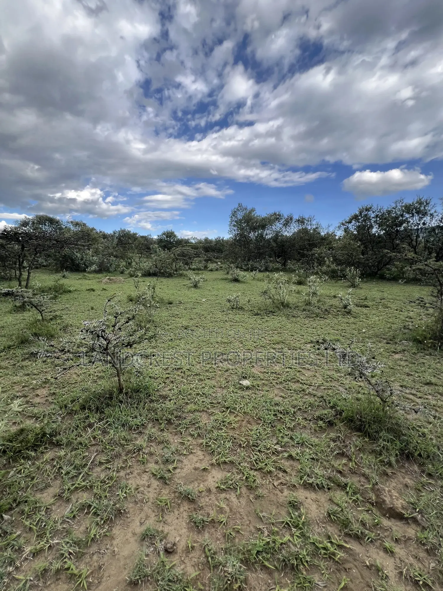 1/2 Acre for Sale in Naivasha, Longonot