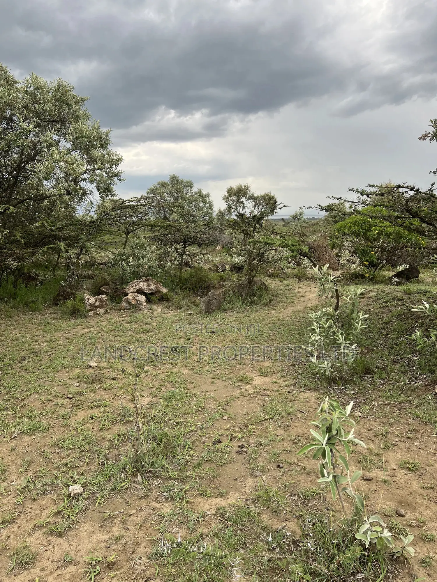 1/2 Acre for Sale in Naivasha, Longonot