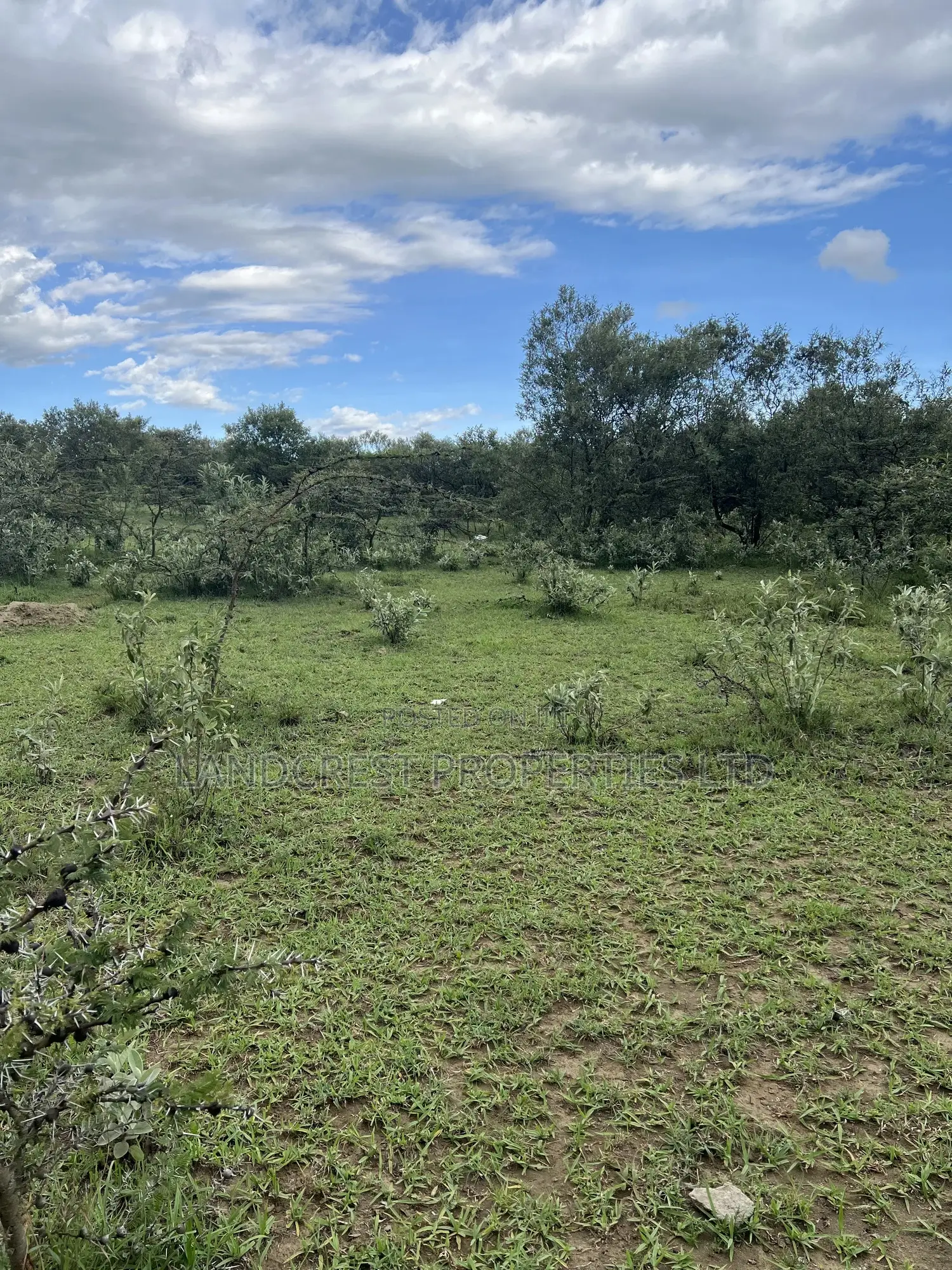 1/2 Acre for Sale in Naivasha, Longonot