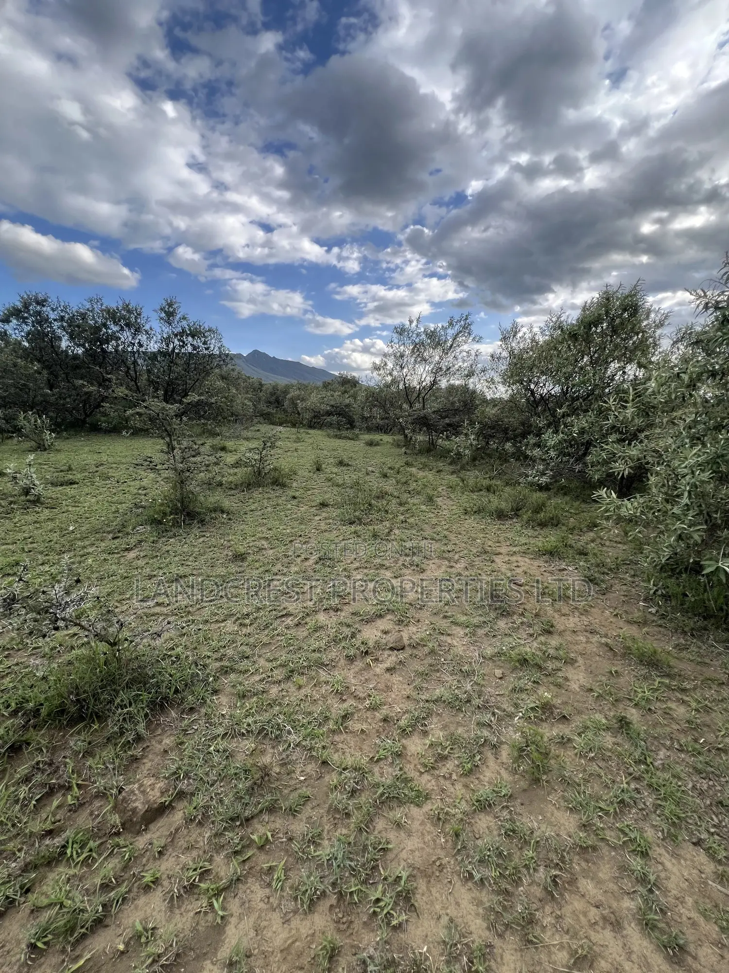 1/2 Acre for Sale in Naivasha, Longonot