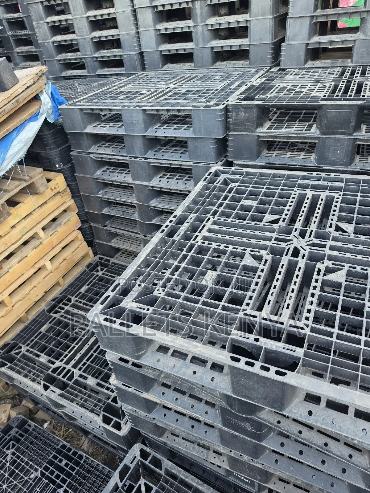 Plastic Pallets- Perfect for Any Industry Use.02