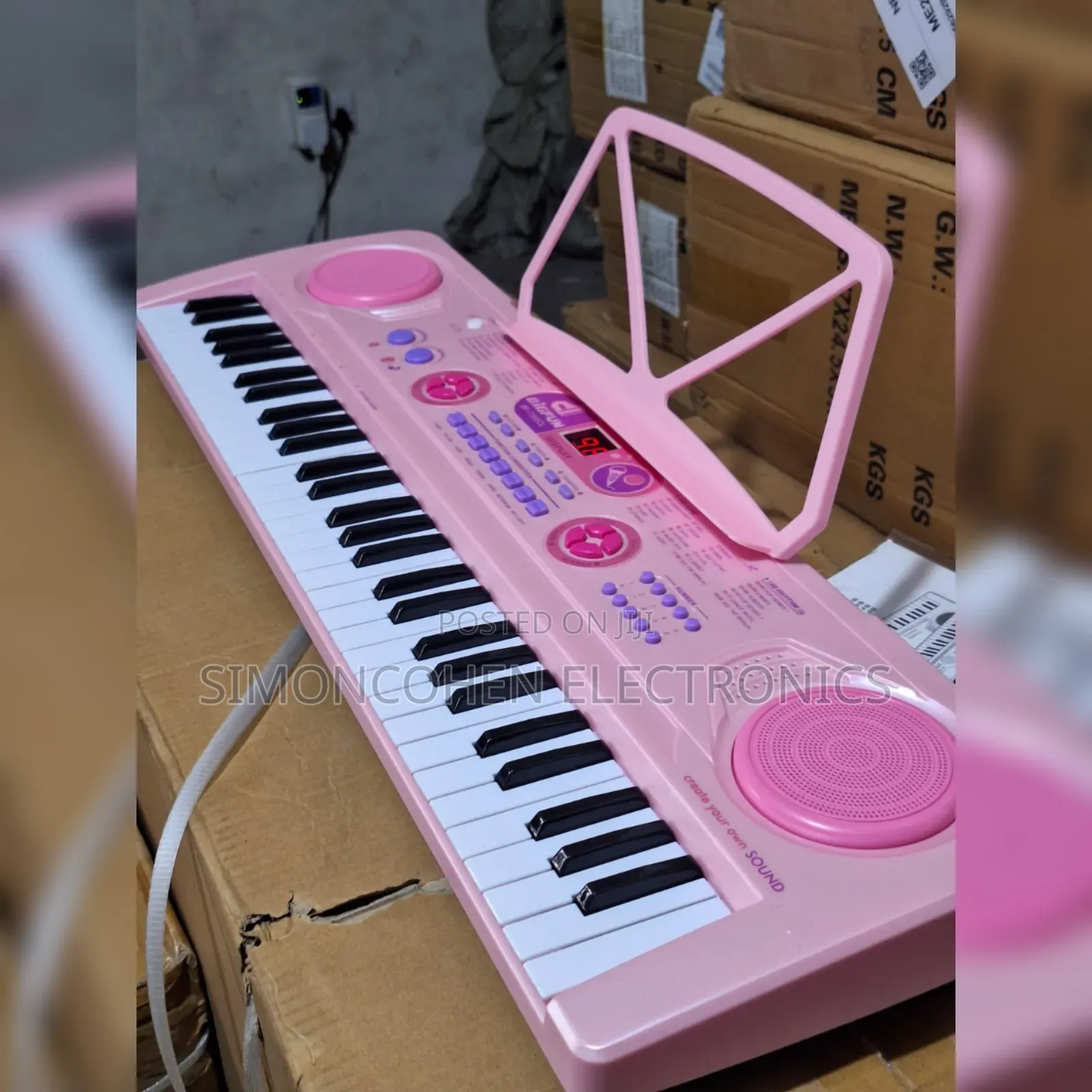 Professional Piano With in Built Battery