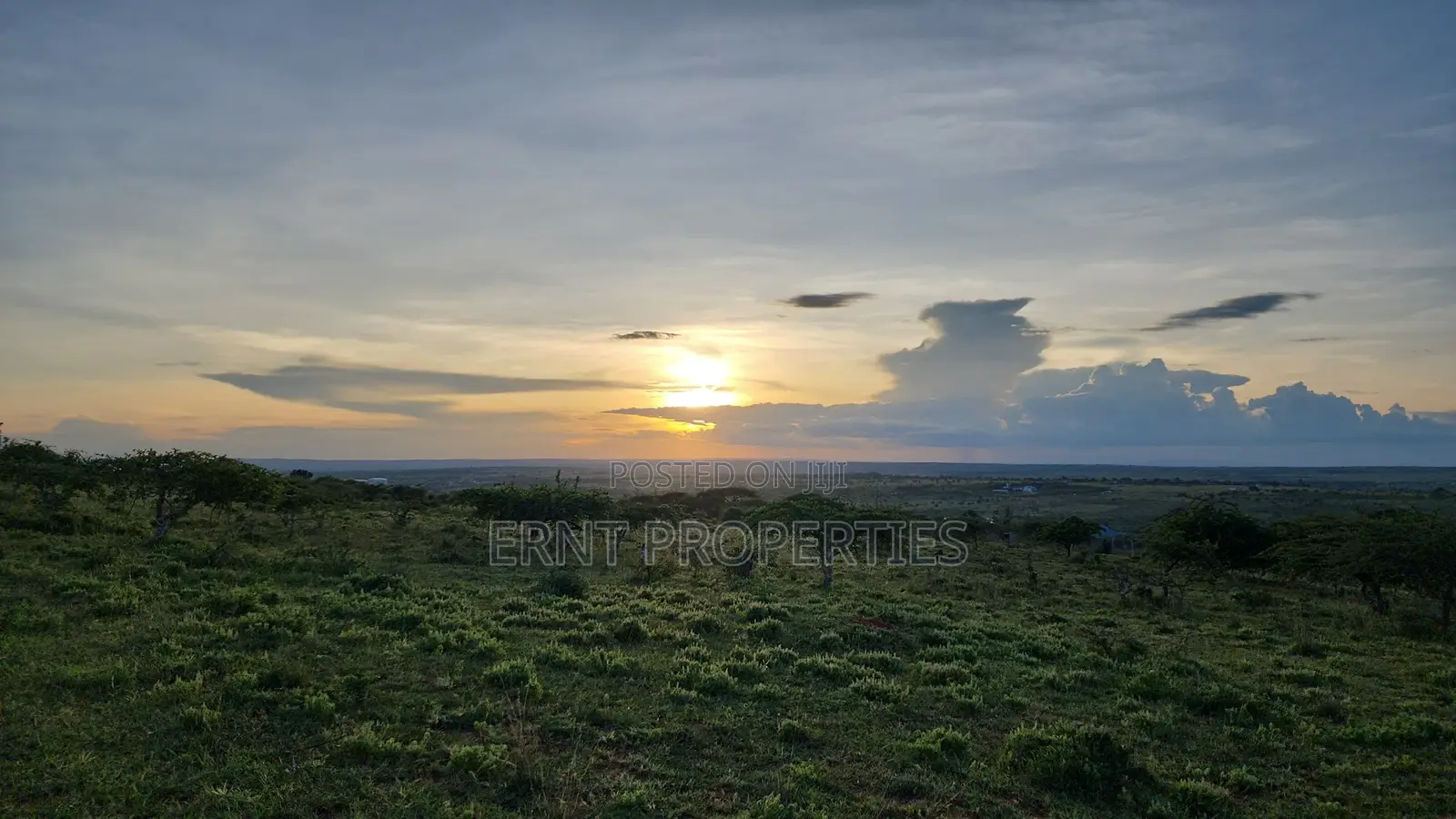 Two Adjacent Quarter Acre Plots in Malili Mukaa