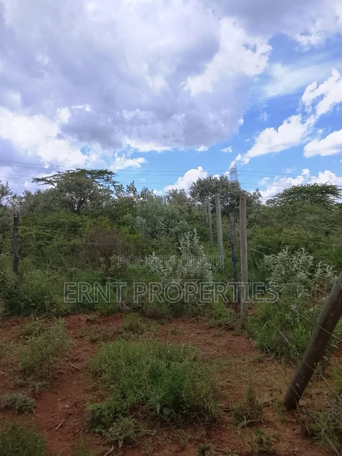 Prime Corner 100x100 Plot for Sale in Ngong Kimuka Near Tarmac