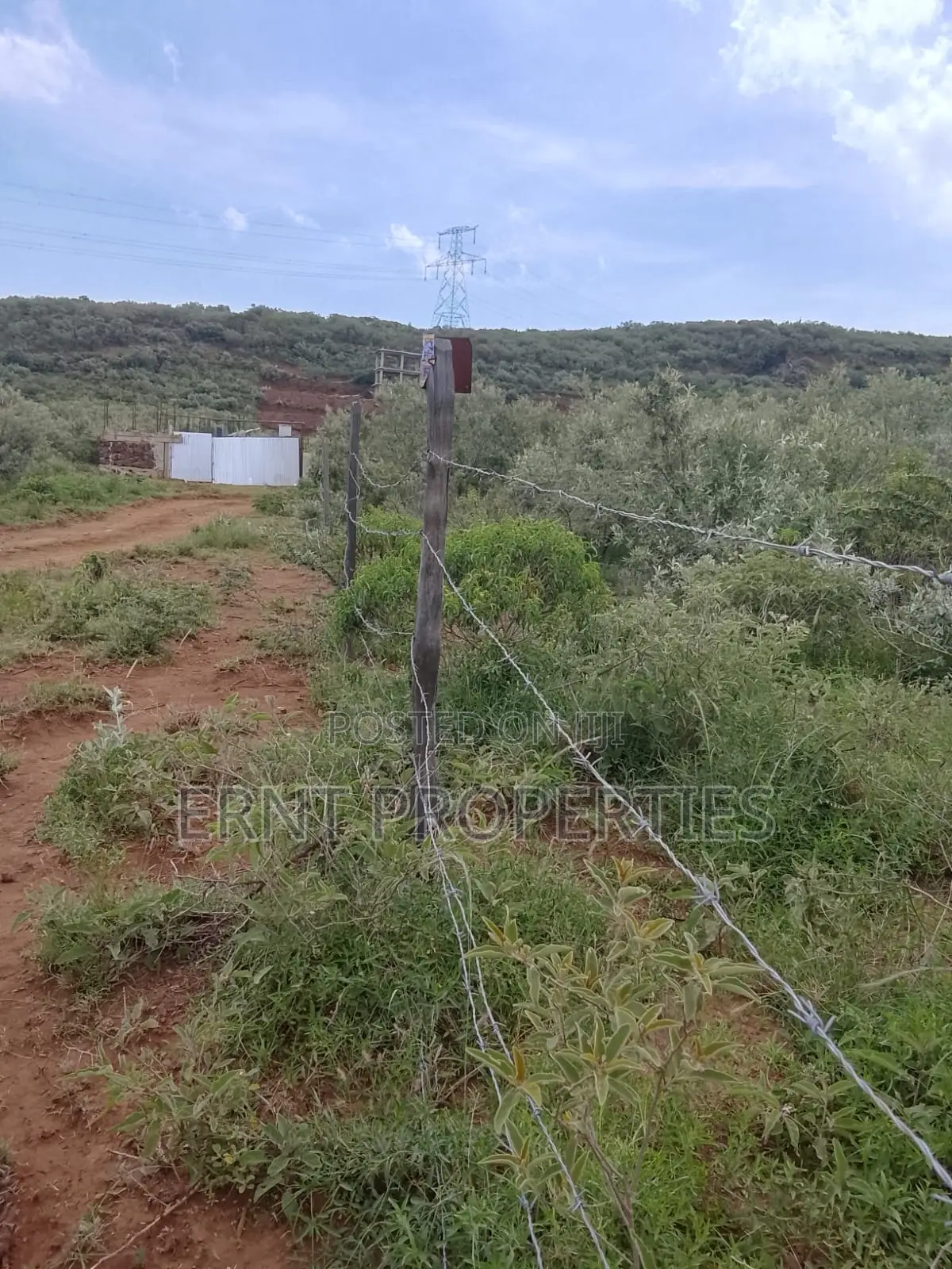 Prime Corner 100x100 Plot for Sale in Ngong Kimuka Near Tarmac