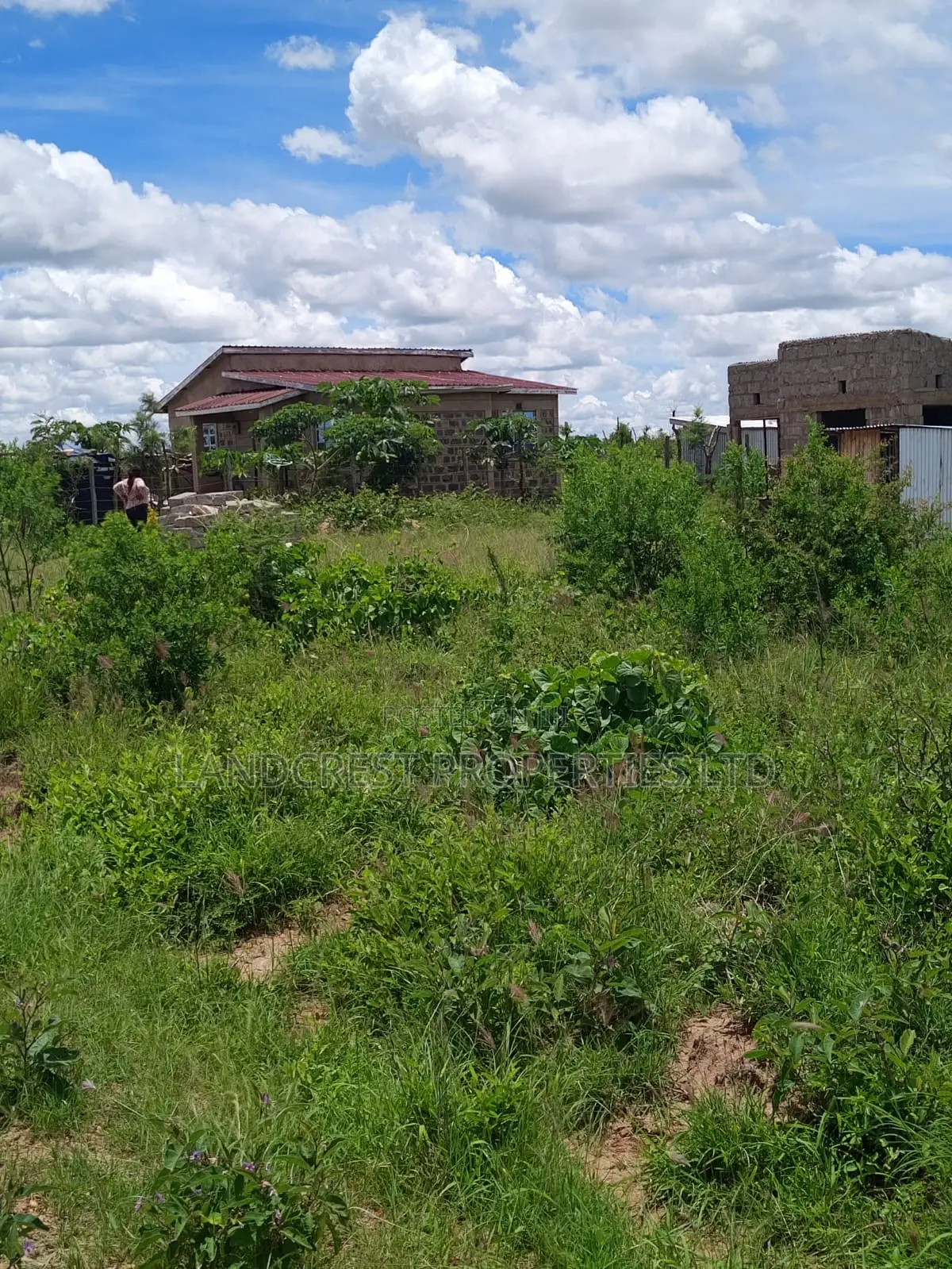 1/8 Acre Plot for Sale in Matuu