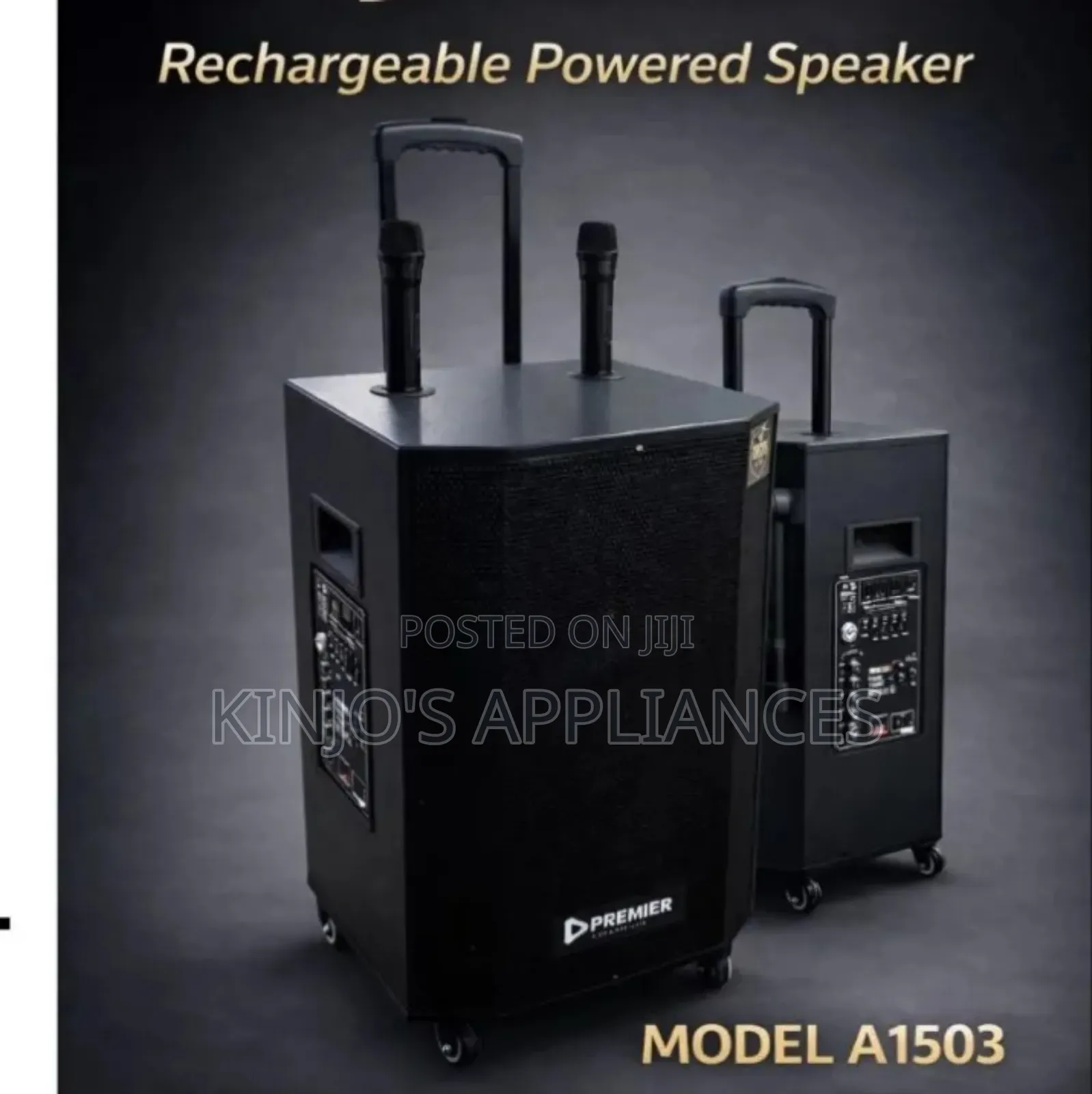 Premier Rechargeable Powered Speaker A1503