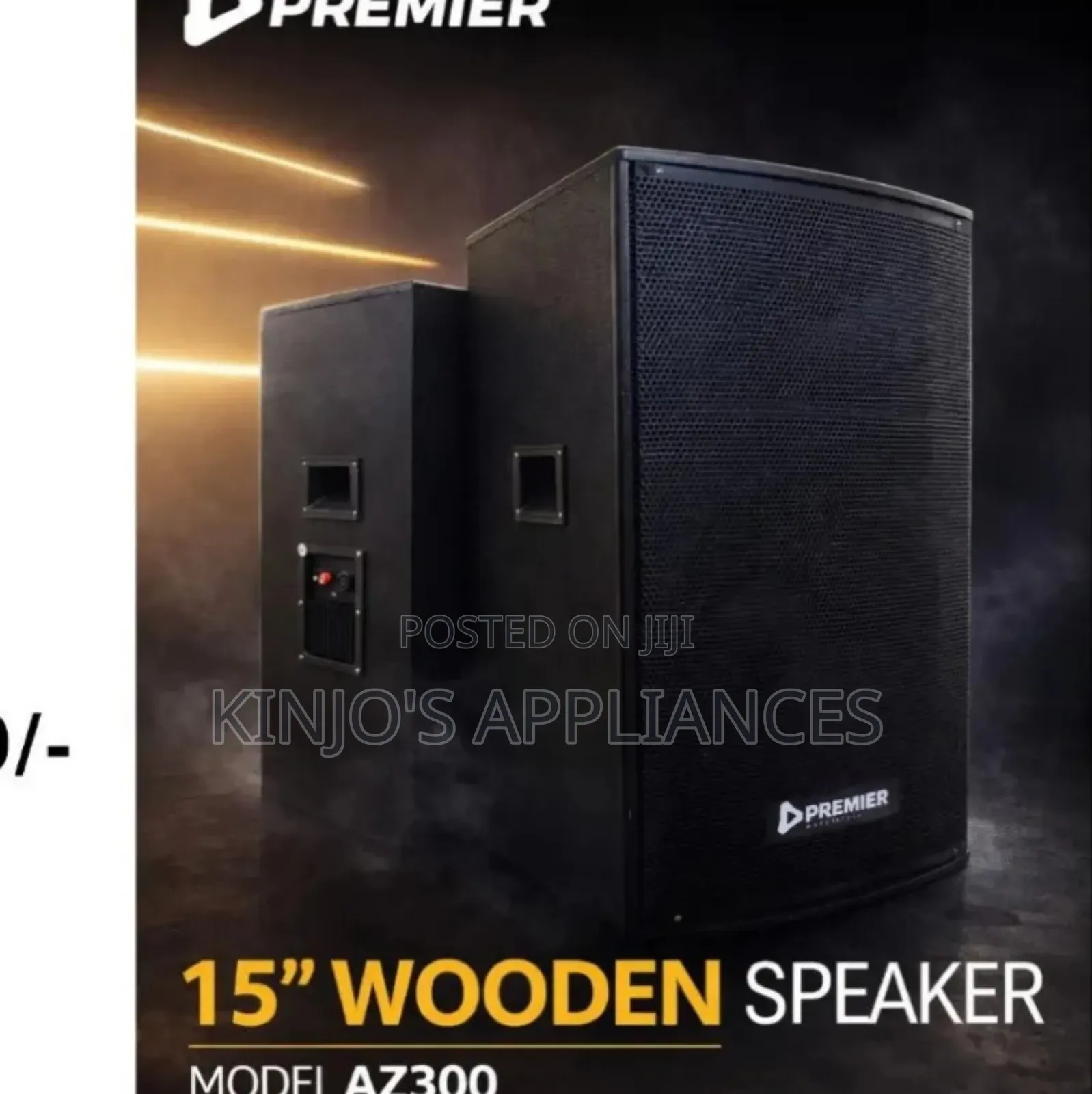 Premier 15 Inch Wooden Speaker Az300