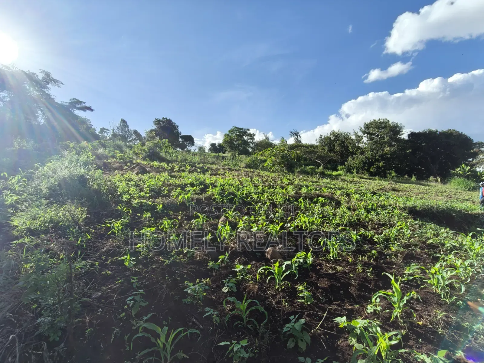 One Acre Plot for Sale in Ngong, Kahara Near Tarmac. Red Soil