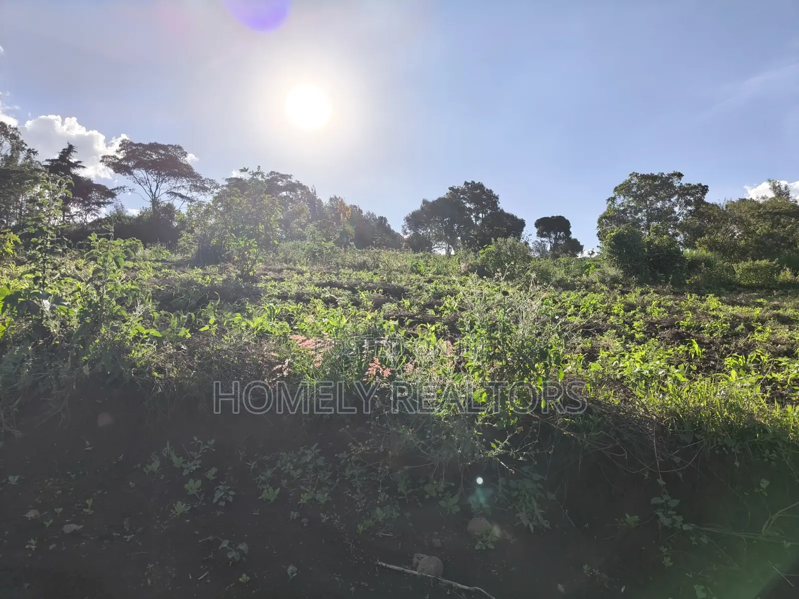 One Acre Plot for Sale in Ngong, Kahara Near Tarmac. Red Soil