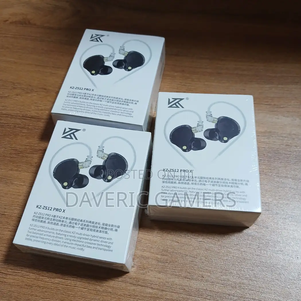 Kz Zs12 Pro X in Ears