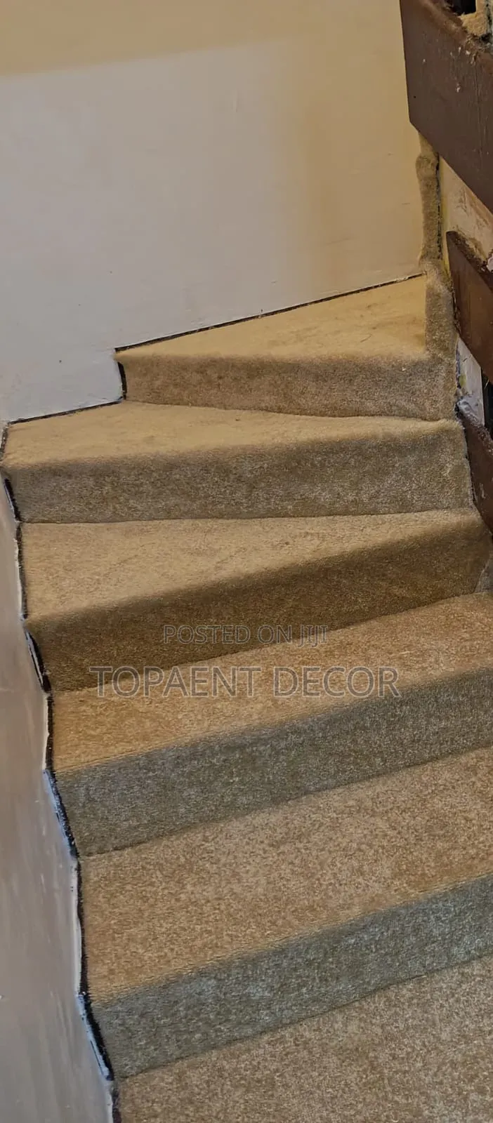 Beige Vip 10mm Seamless Style House Staircase Wall to Wall Carpets