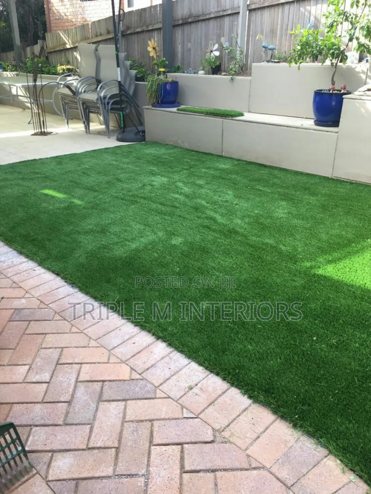 Backyard Premium Turf Grass