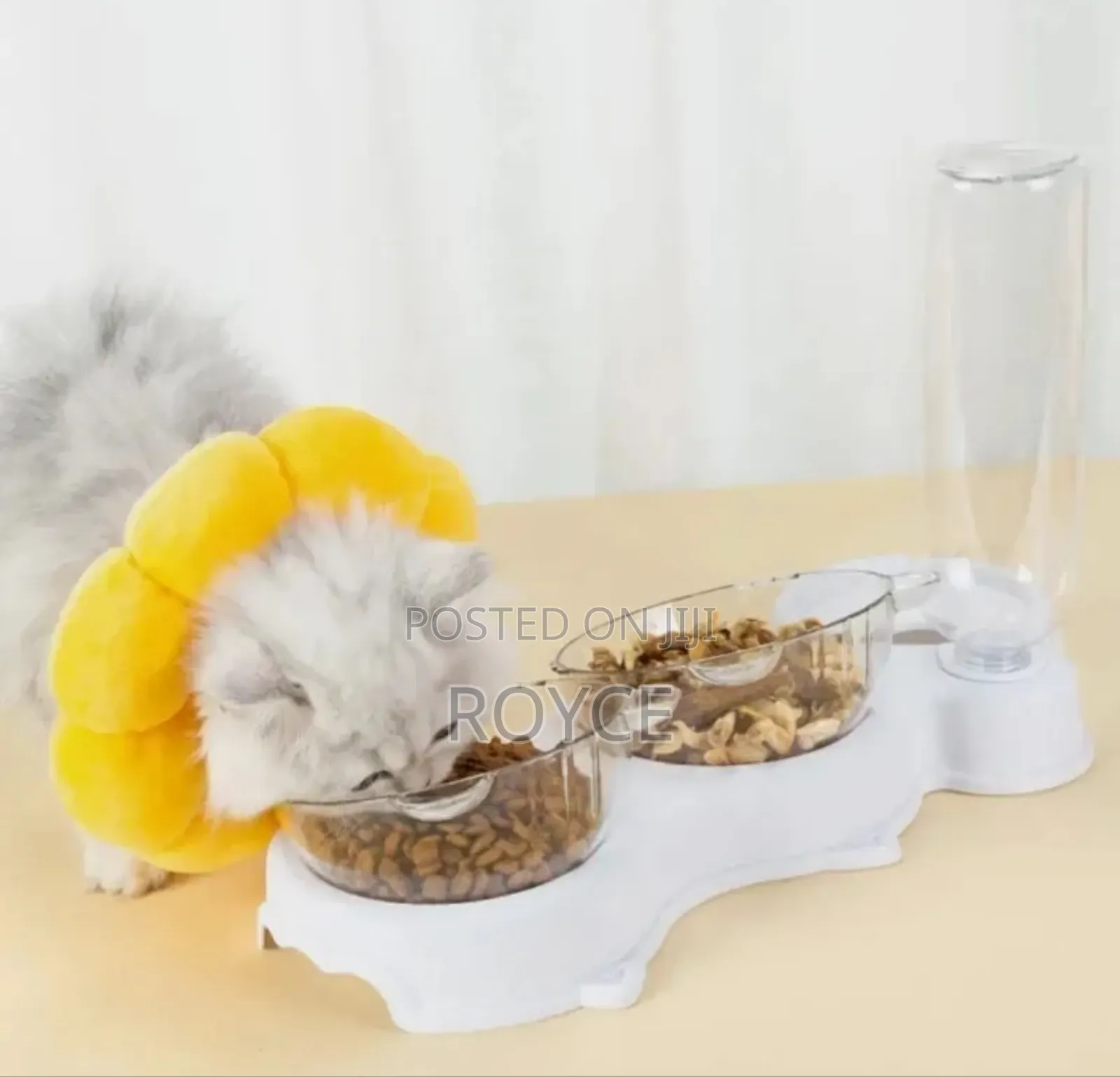 3 in 1 Automatic Pet Feeder