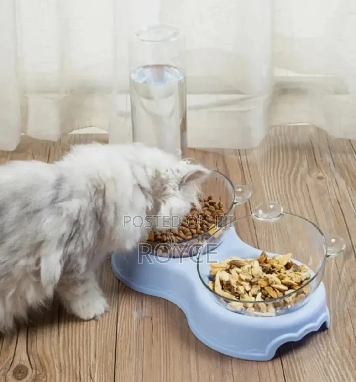 3 in 1 Automatic Pet Feeder