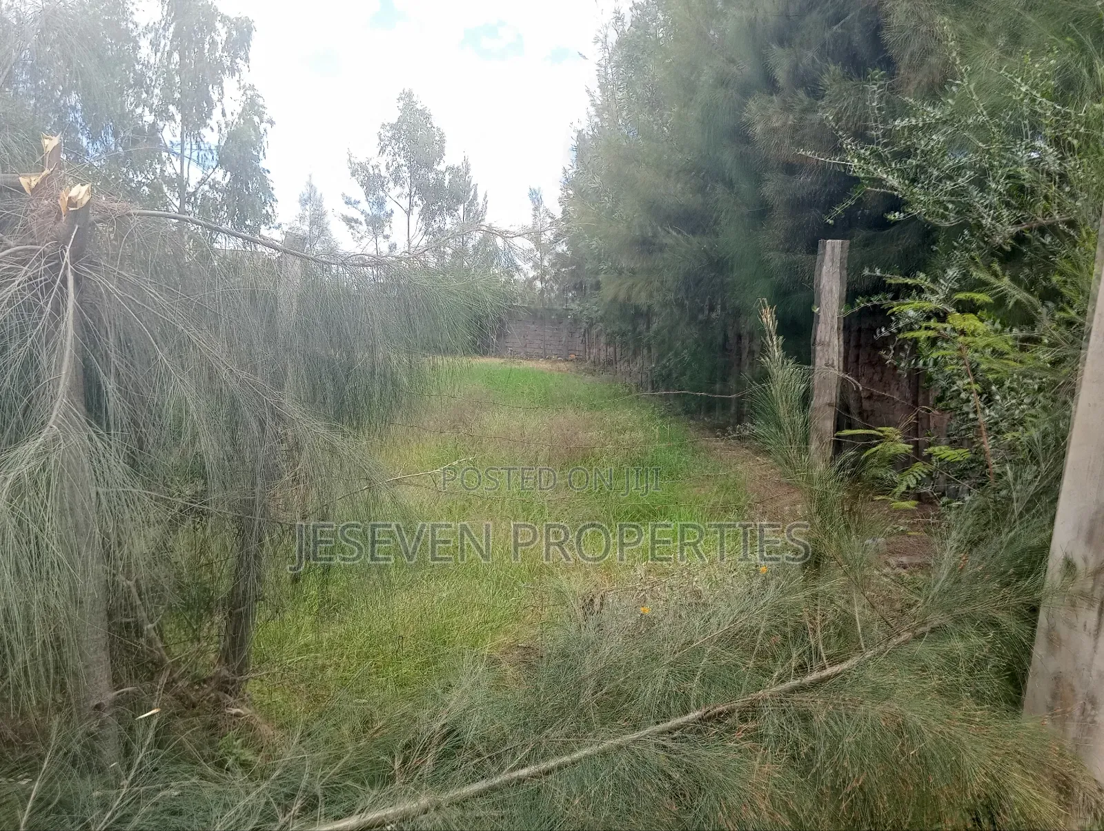 Quarter Acre Land 100*100 in Syokimau for Sale