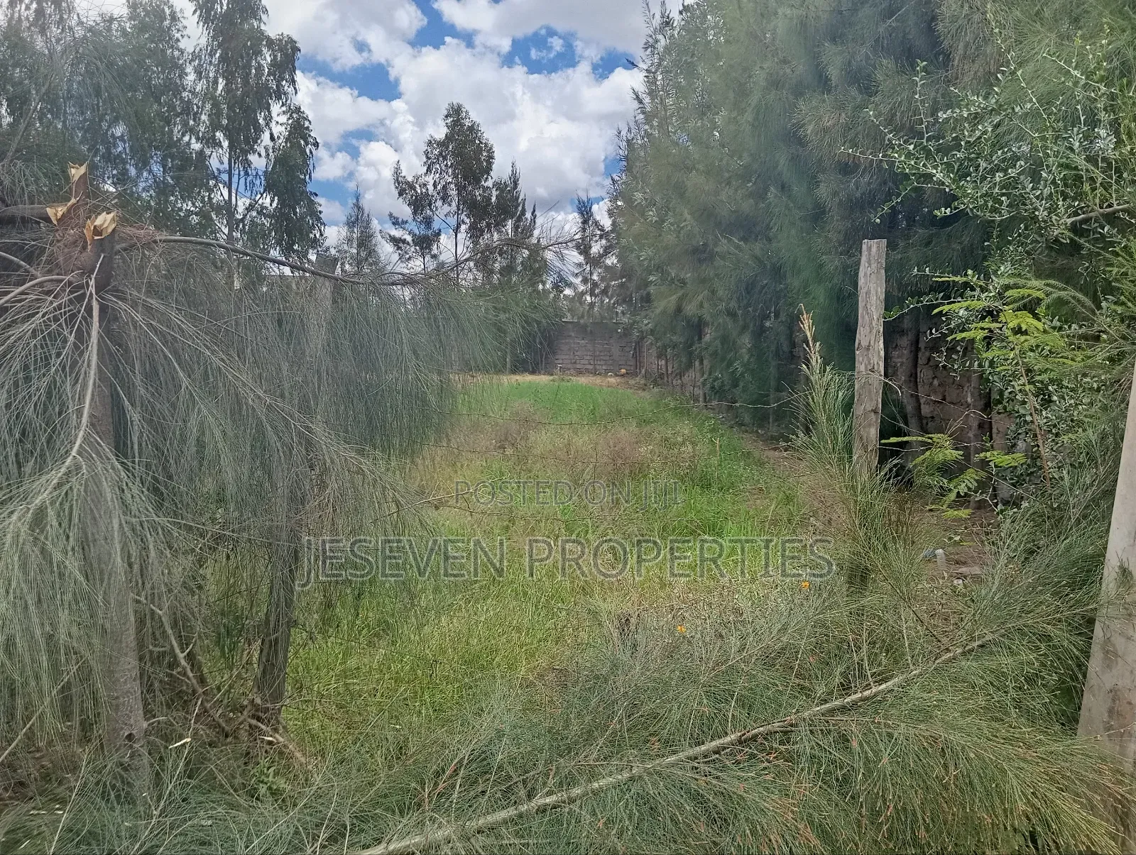 Quarter Acre Land 100*100 in Syokimau for Sale