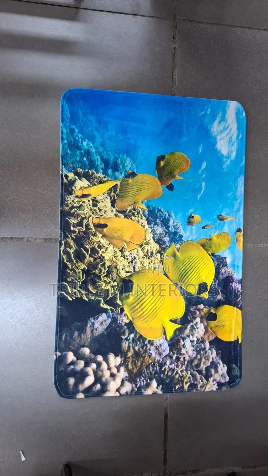 Strong Grip Hd Doormat 50×80cm | No Sliding
