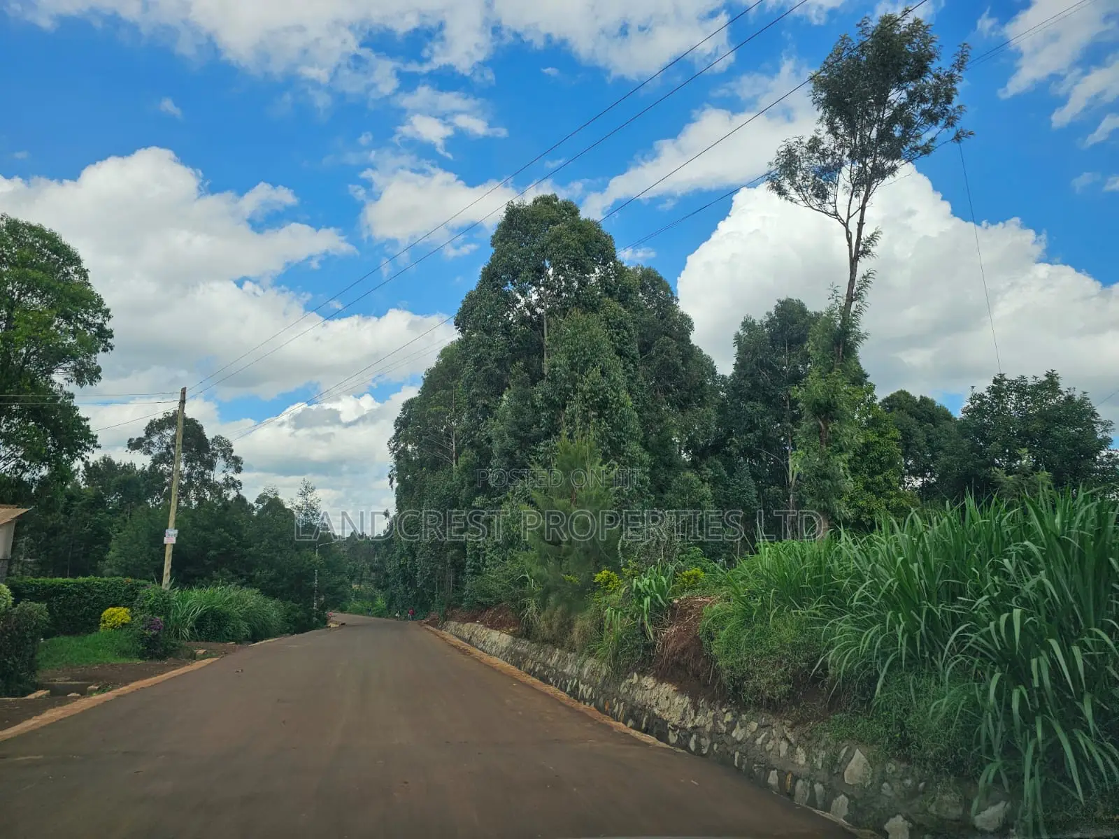 Prime 1/8 Acre Plot for Sale Ruaka, Muchatha