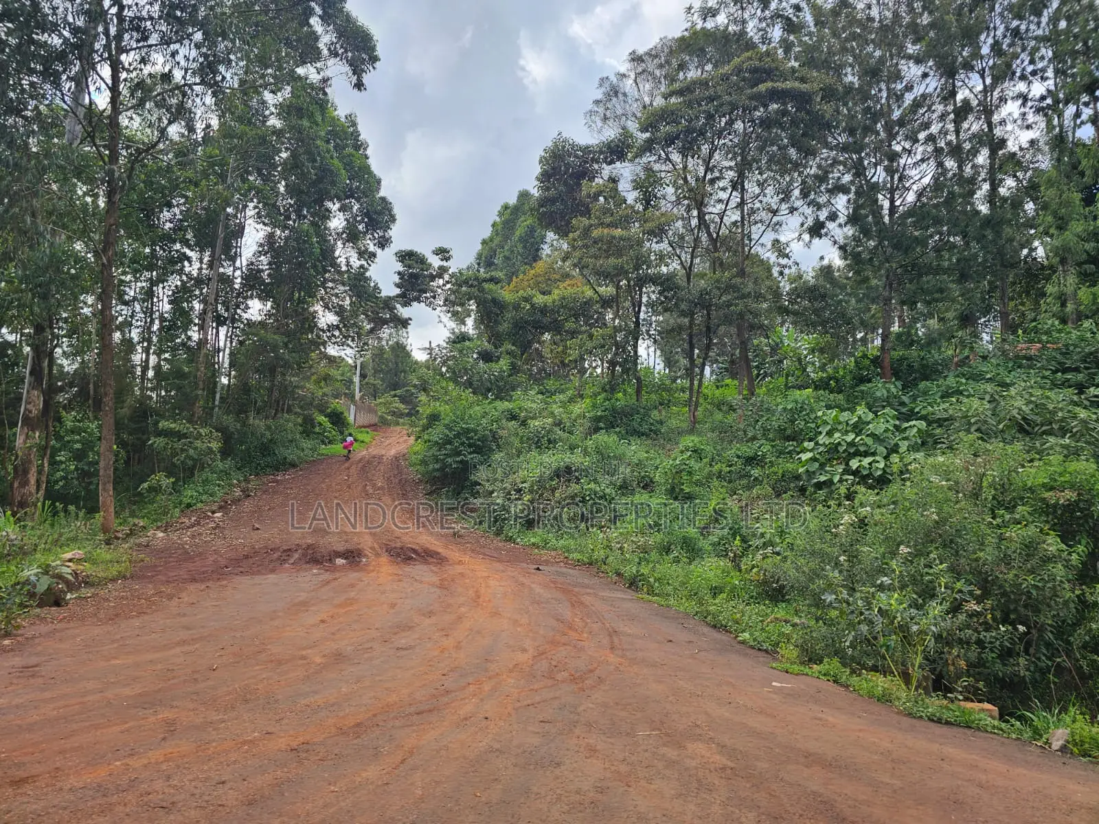 Prime 1/8 Acre Plot for Sale Ruaka, Muchatha