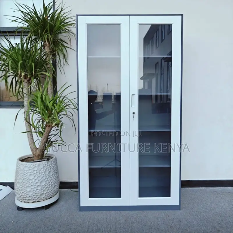 Office 2-Door Lockable Glass File Cabinet