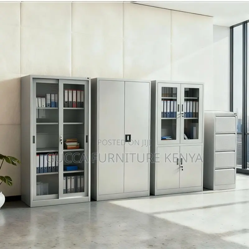 2 Door Adjustable Shelves Storage Cabinet