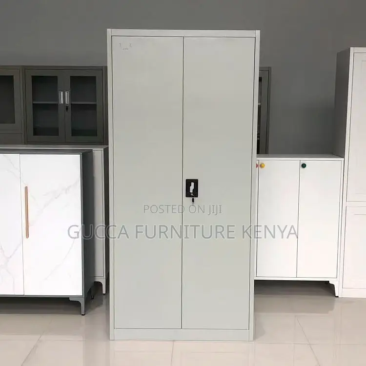 2 Door Adjustable Shelves Storage Cabinet