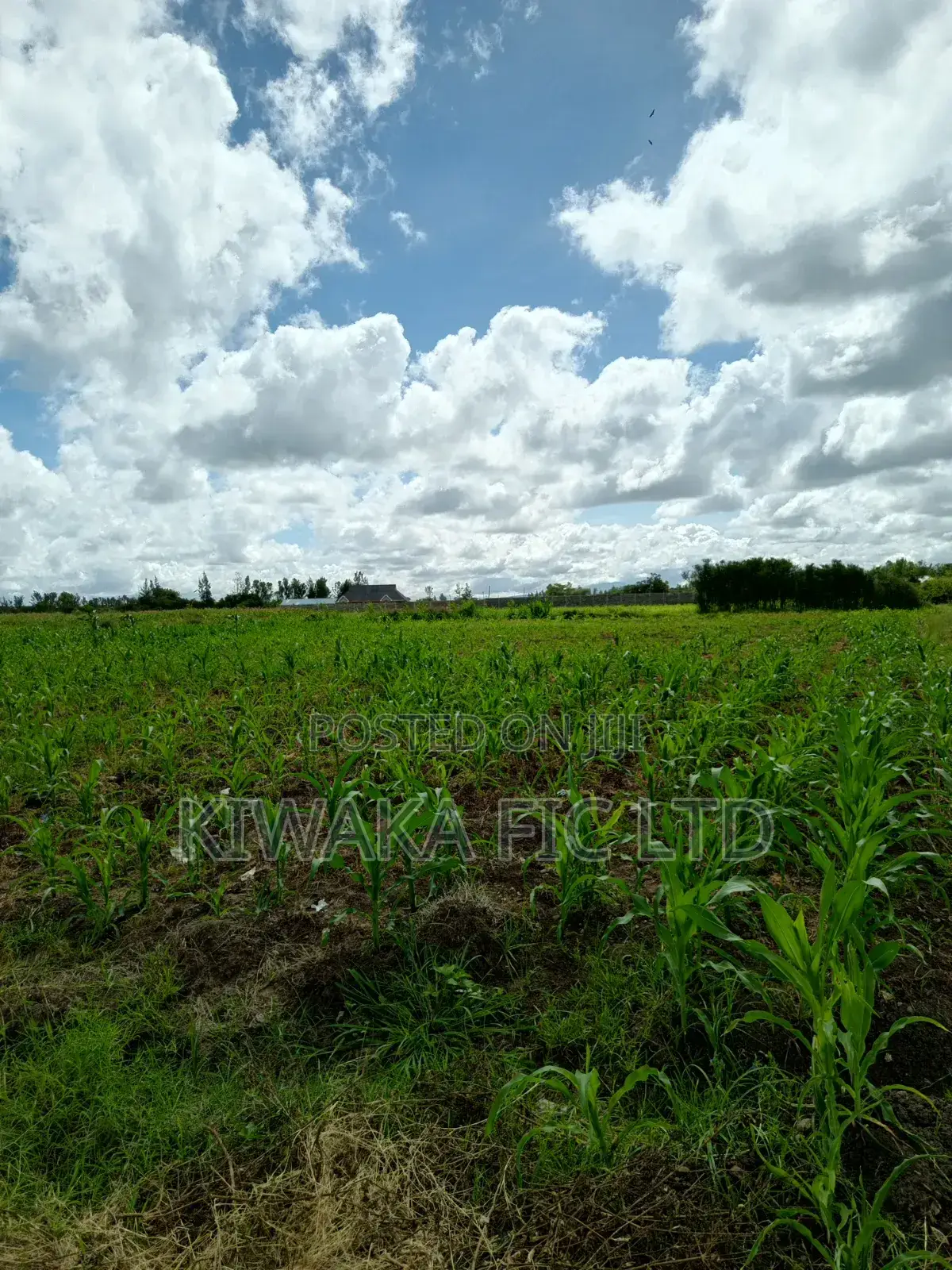 22 Acres Off the Eastern Bypass for Sale