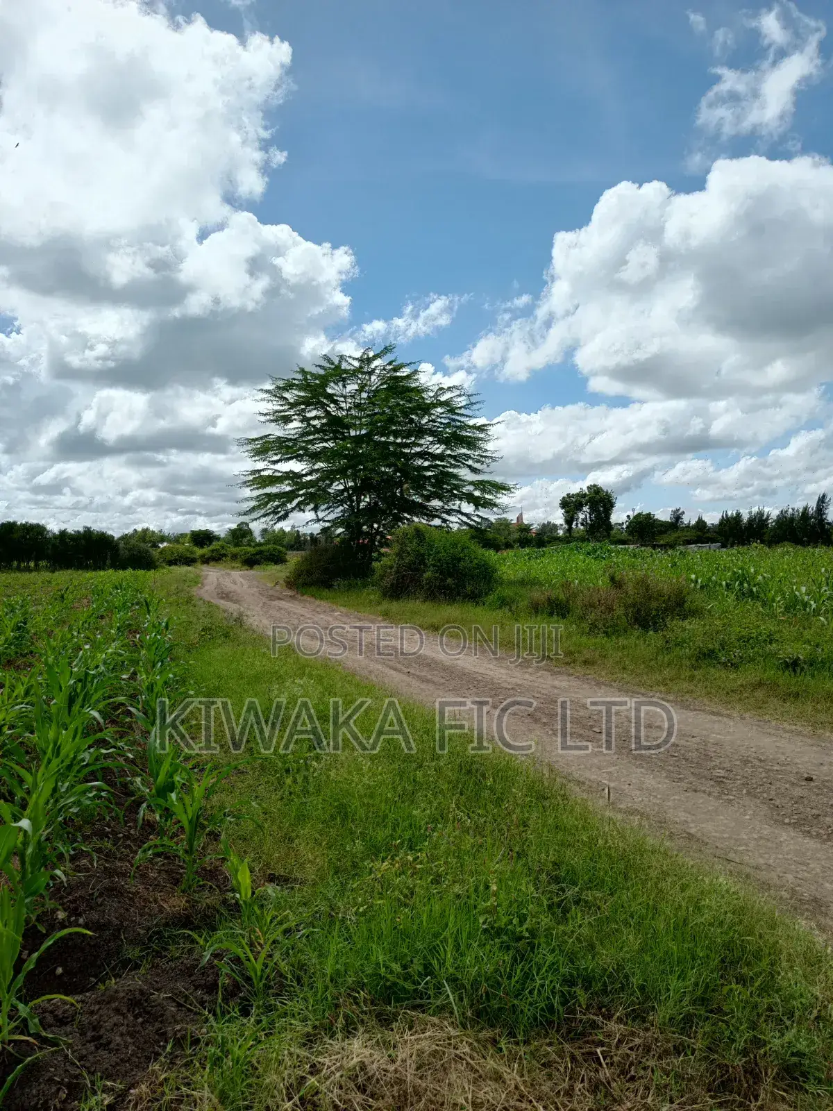 22 Acres Off the Eastern Bypass for Sale