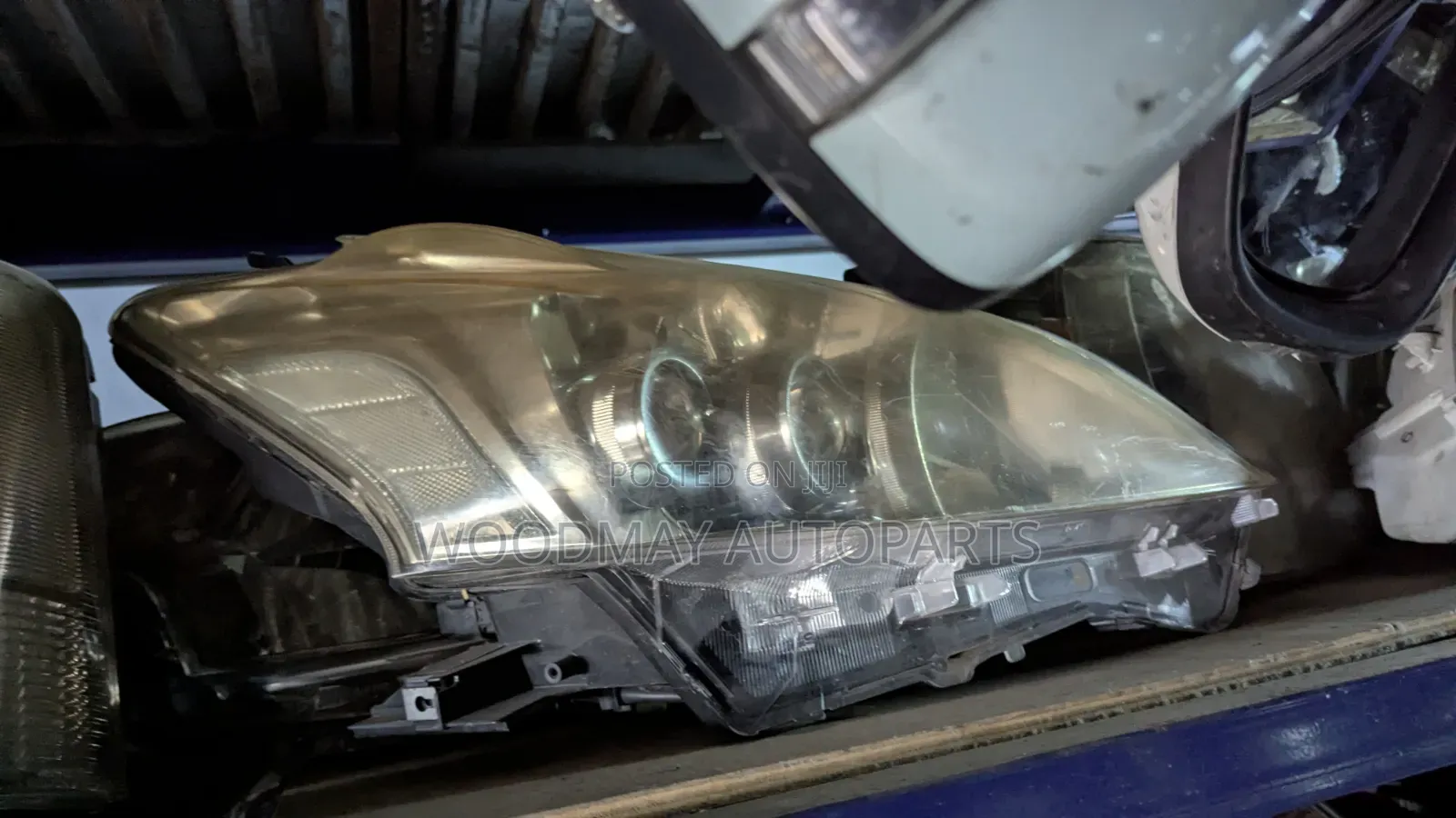 Toyota Prius v Headlight Xenon
