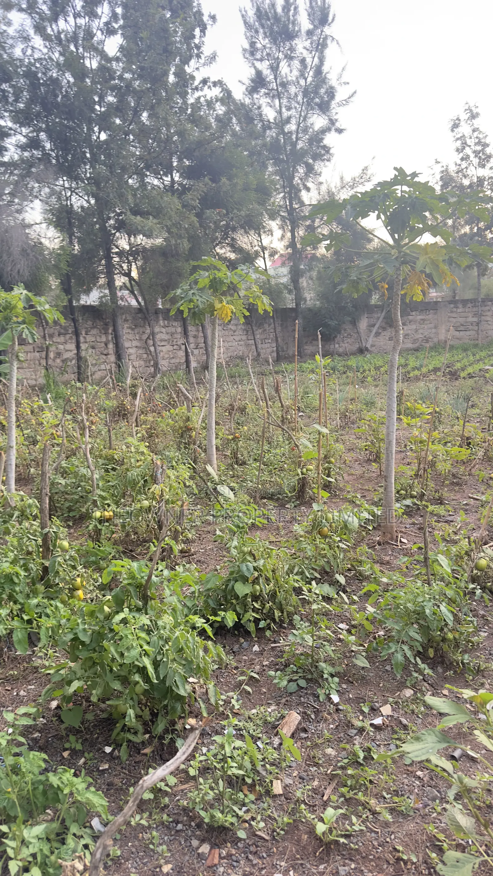 3/4 Residential Plot for Sale Utawala Benedicta Next to Fahari Hotel