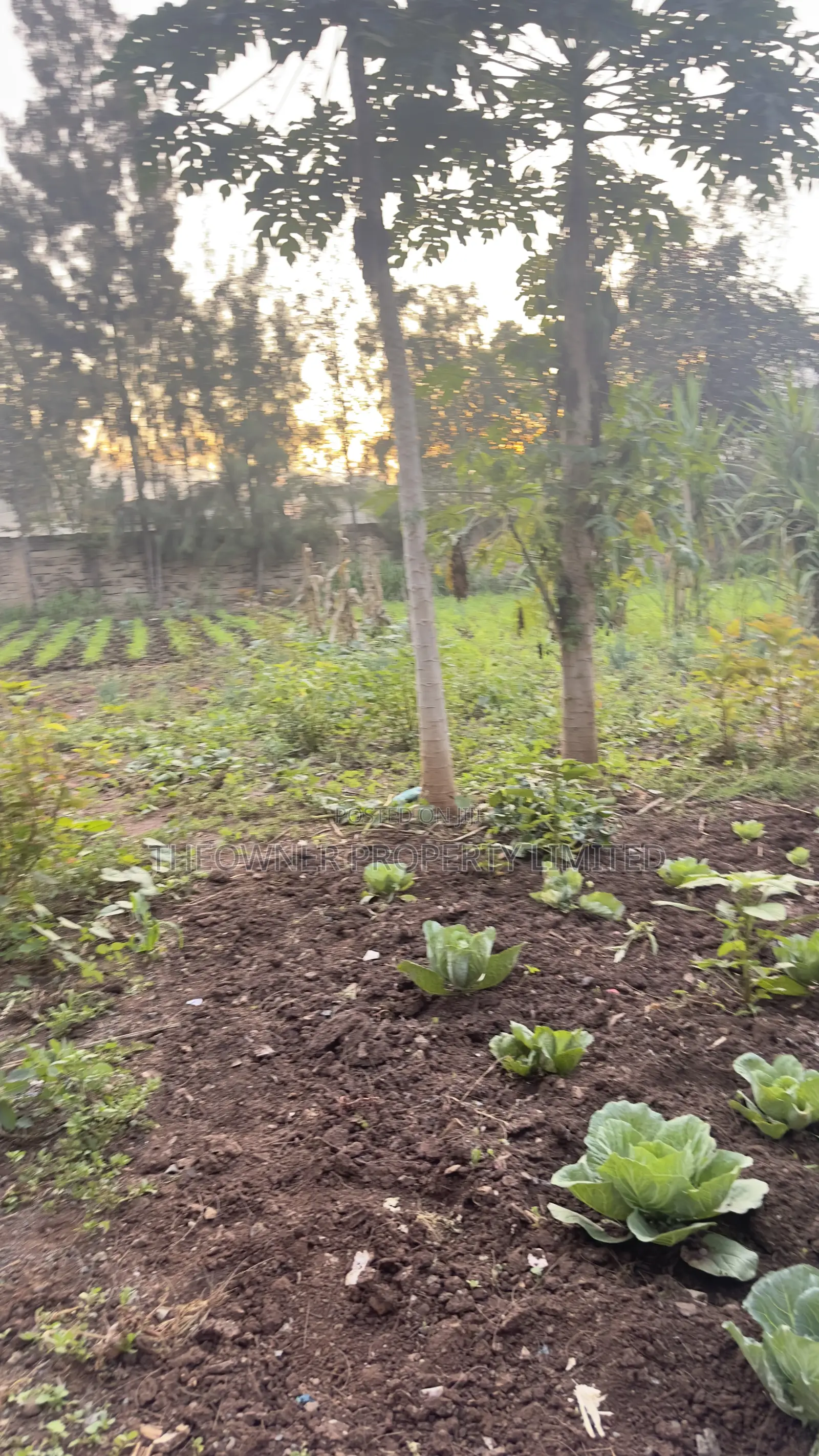 3/4 Residential Plot for Sale Utawala Benedicta Next to Fahari Hotel