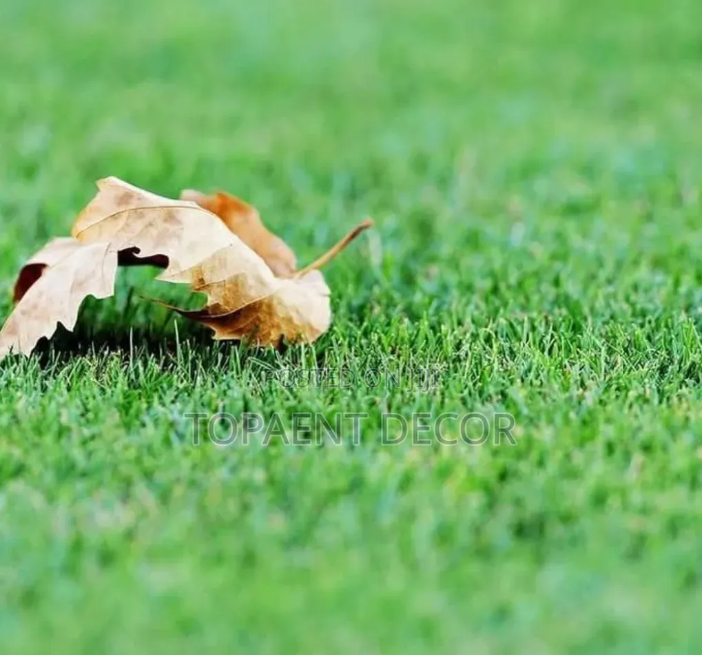 Space Elevation With Artificial Green Grass Carpet