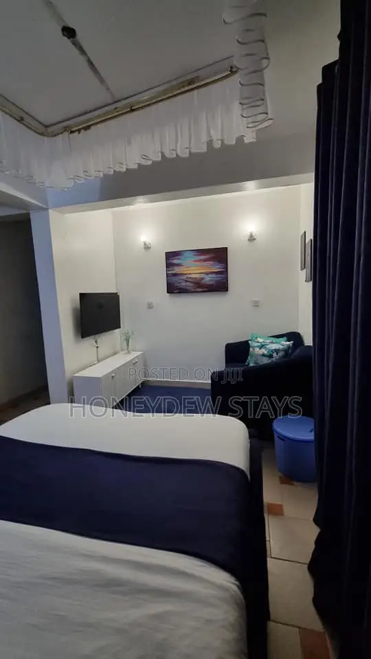 Executive Furnished Studio Airbnb in Milimani, Kisumu