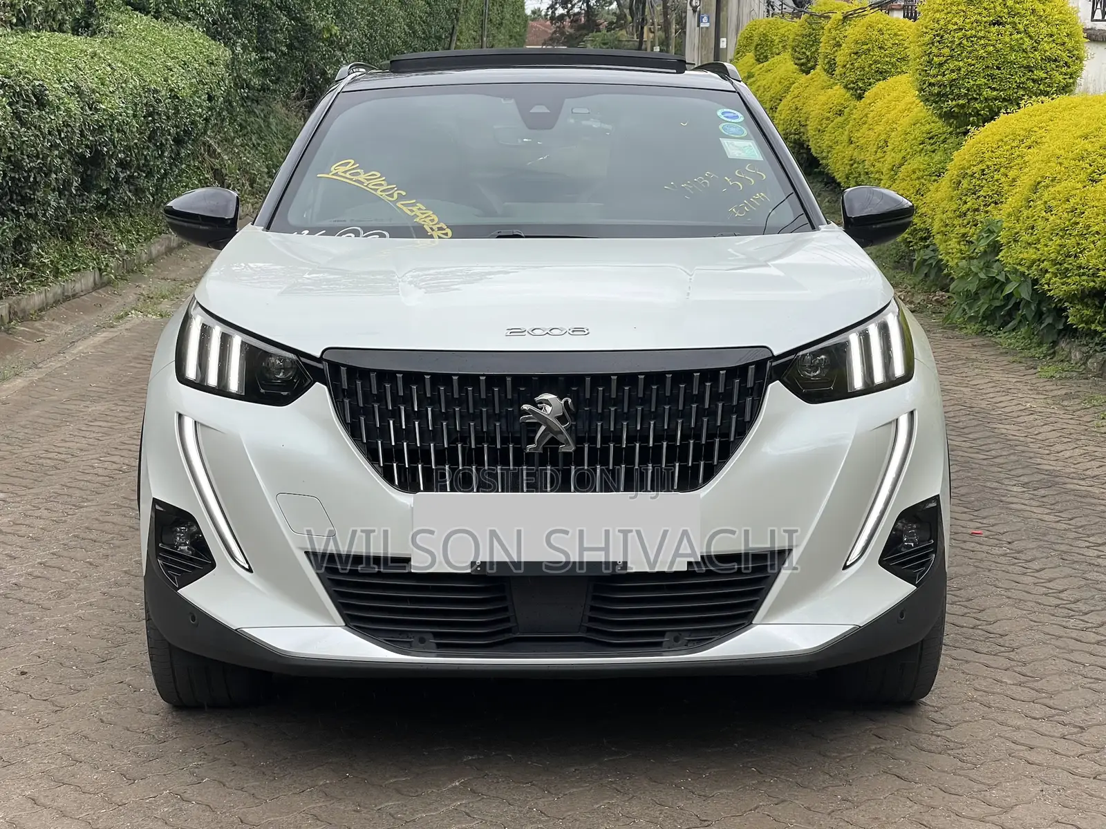 Peugeot 2008 2021 White