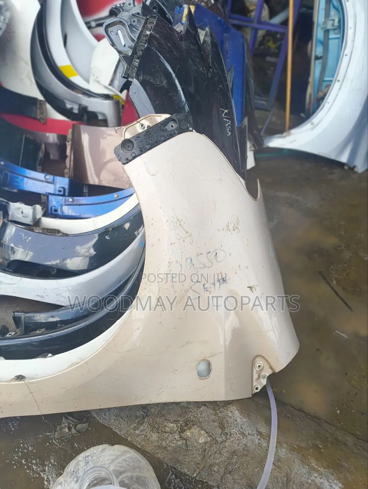 Passo Sette Fender