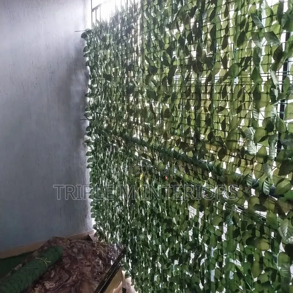 Give Your Balcony a Fresh Green Upgrade