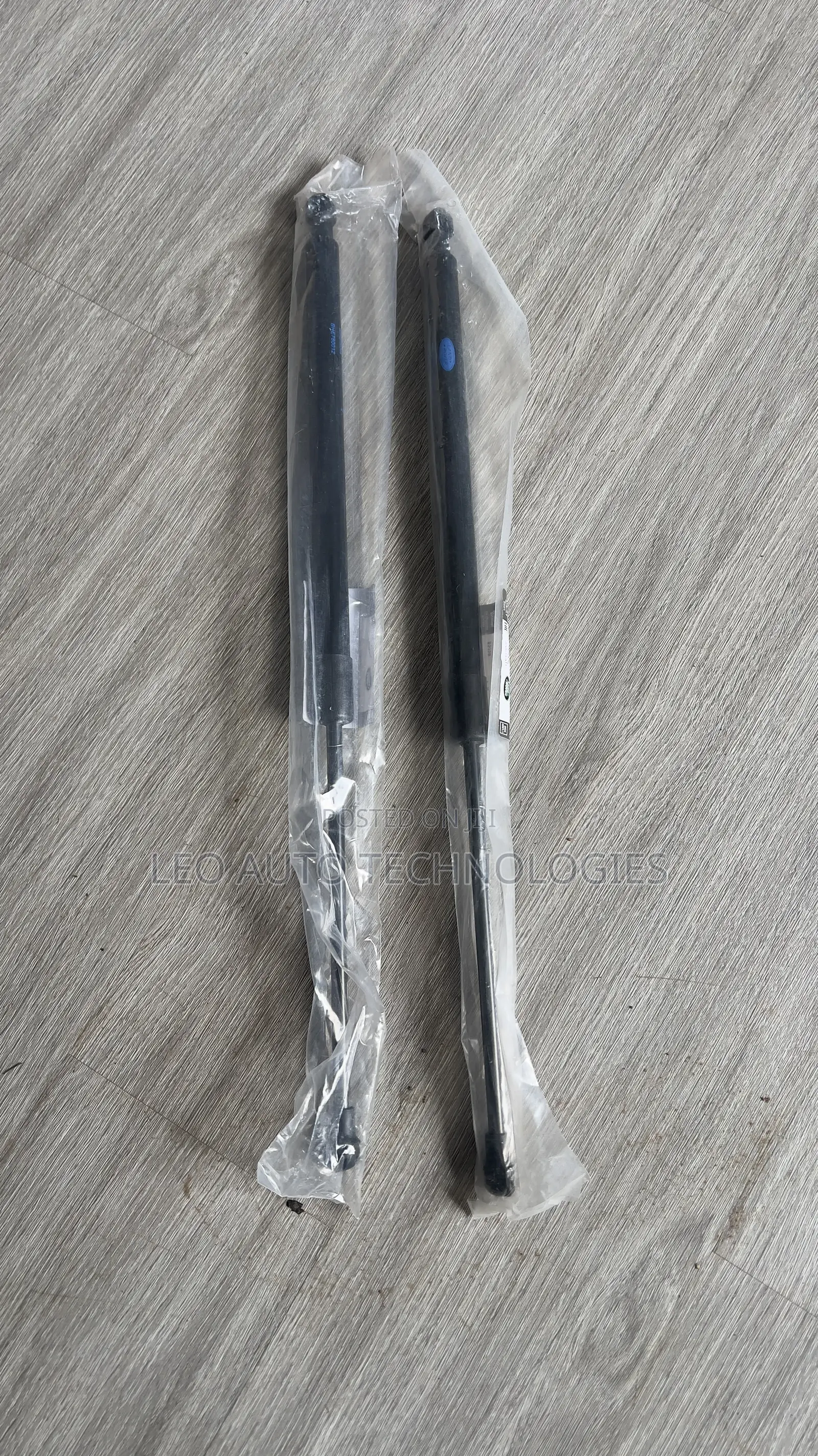 Rear Tailgate Gas Strut